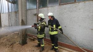 Brennt Spänebunker auf Sägewerk