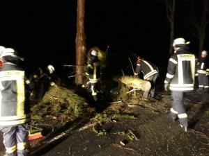 Baum bei Sturm auf Straße gestürzt